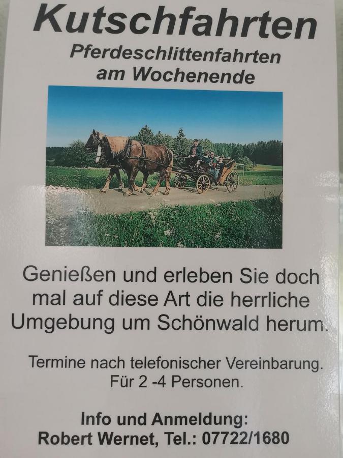 Ferienwohnung Schoene Wohnung 2D-Gebaeude Mit Mini-Garten Schönwalde Zewnętrze zdjęcie