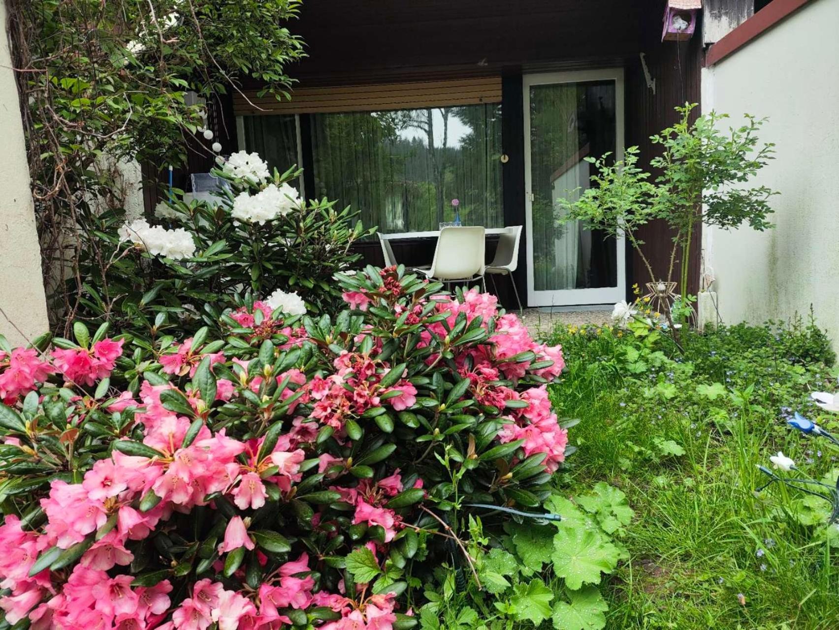 Ferienwohnung Schoene Wohnung 2D-Gebaeude Mit Mini-Garten Schönwalde Zewnętrze zdjęcie